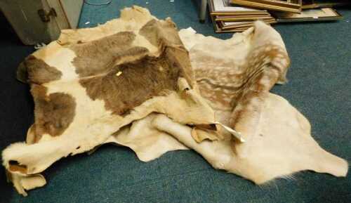 Various hide animal skins, etc. (a quantity)