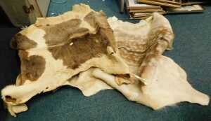 Various hide animal skins, etc. (a quantity)