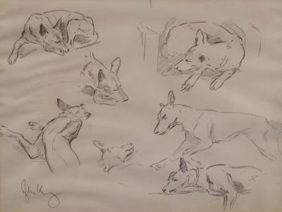 John King (1929-2014). Studies of hunting dogs