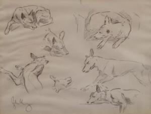 John King (1929-2014). Studies of hunting dogs