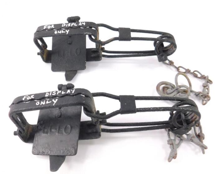 A pair of H Lane Li-Lo early 20thC ginn traps.