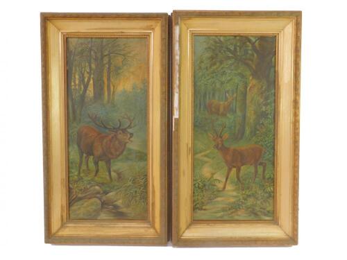 English School (Early 20thC). Deer in a Woodland setting