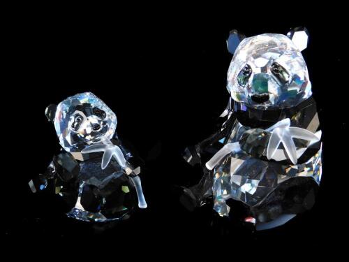 Swarovski Crystal Endangered Wildlife Pandas