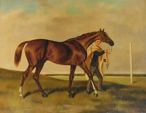 20thC School. Racehorse with groom, oil on canvas, 70cm x 90cm.