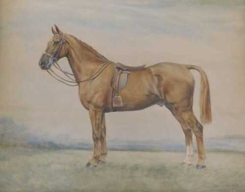 Dora Webb (1888-?). Study of a horse, watercolour, signed and dated 1933, 46.5cm x 59cm. 
Artist...