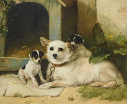 Walter Hunt (1861-1941). "The Proud Mother" - a small white terrier type bitch resting before...