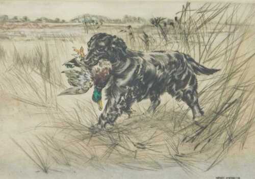 Henry Wilkinson (1921-2011). Retrieving Mallard, artist signed coloured etching, 18/150, 25cm x...