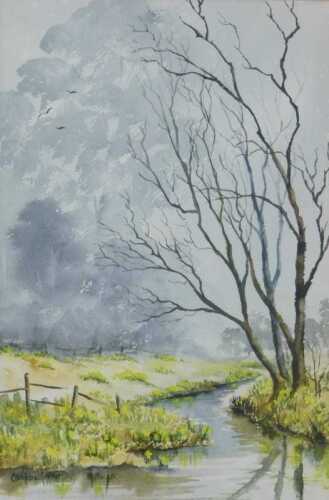 Campbell Trotter (20thC). Country stream, watercolour, signed, 28cm x 18cm.