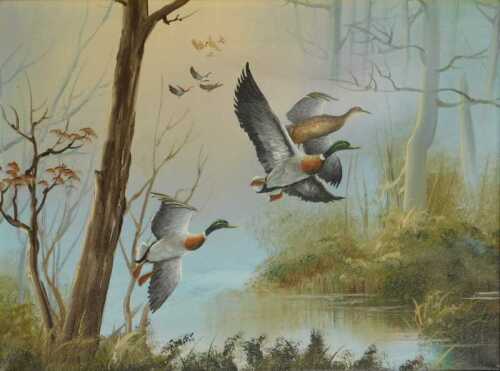 20thC British School. Ducks over water, oil on canvas, 29.5cm x 39.5cm.