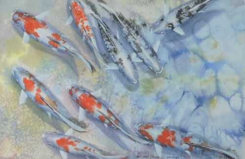 Hai Stinet Yeung (b.1936). Carp, watercolour, signed and dated, 36cm x 55cm.