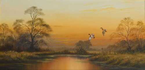 David Waller (b.1945). Duck over Water, oil on canvas, signed, 36cm x 74.5cm.