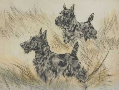 Henry Wilkinson (1921-2011). Two Terriers, artist signed coloured etching, 24/150, 27cm x 36cm.