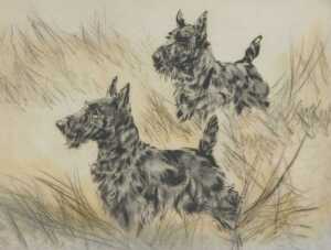 Henry Wilkinson (1921-2011). Two Terriers, artist signed coloured etching, 24/150, 27cm x 36cm.