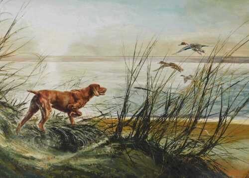 Henry Wilkinson (1921-2011). A Pointer on the border of marshland putting up a flight of...