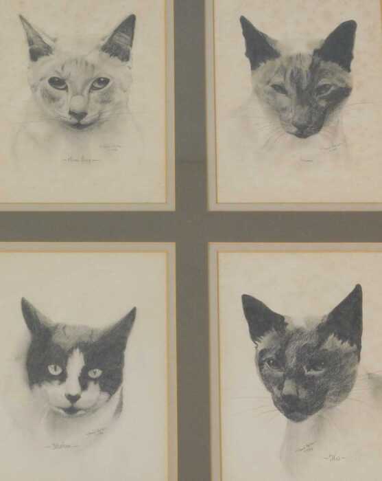 David Waller (b.1945). Mona Lisa, Thomas, Ivanhoe, Flo, four framed and mounted drawings, signed,...
