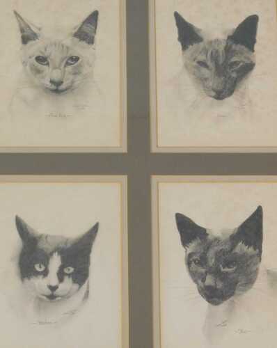 David Waller (b.1945). Mona Lisa, Thomas, Ivanhoe, Flo, four framed and mounted drawings, signed,...