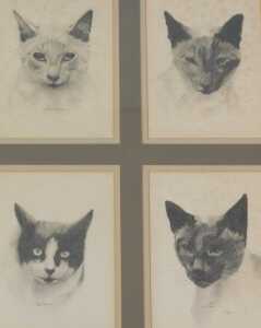 David Waller (b.1945). Mona Lisa, Thomas, Ivanhoe, Flo, four framed and mounted drawings, signed,...