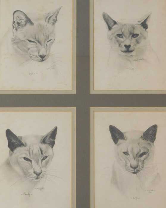 David Waller (B.1945). Dylan, Dude, Manay, Kelly, four framed and mounted drawings, signed,...