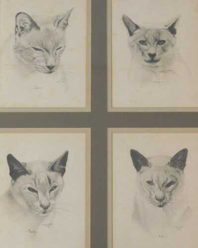 David Waller (B.1945). Dylan, Dude, Manay, Kelly, four framed and mounted drawings, signed,...