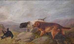Richard Ansdell (1815-1885). Black game, oil on canvas, signed, titled and dated 1868 verso,...