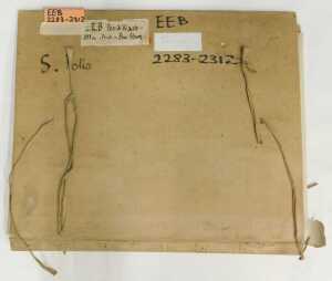 Edward Eaton Brannan (1886-1957). Studio works, watercolours, 46cm x 56cm, contents of folder. (10) - 14