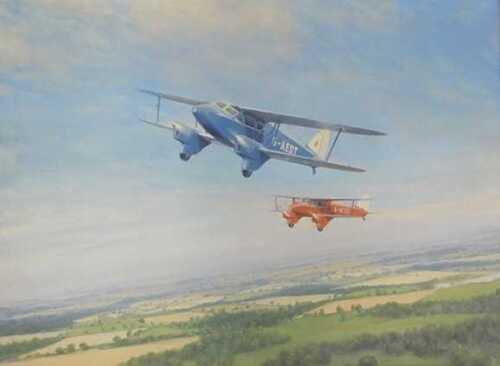 Charles Coote (20thC). Now there are two D. H. Dragonflies, oil on canvas, signed and titled...