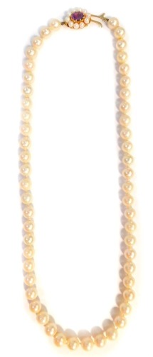 A 9ct gold cultured pearl single strand necklace, with a 9ct gold oval clasp surrounded by seed pearls with central amethyst in a 9ct gold backing, 50cm long overall, 37.4g all in.