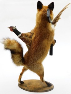 A taxidermy model of a fox, in hunting pose carrying pheasant with rifle, on an oval base, 95cm high. - 2