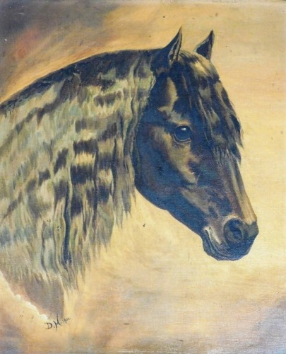 D.M. (early 20thC British School). Study of a horses head, oil on canvas, signed and dated 1902, 33cm x 27.5cm.