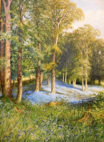 Albert Henry Findley (1880-1975). Bluebell Woods at Swithland, watercolour, signed, 37cm x 27cm.