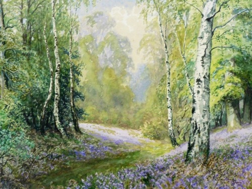 Albert Henry Findley (1880-1975). Bluebell Woods at Swithland, watercolour, signed, 27cm x 37cm.