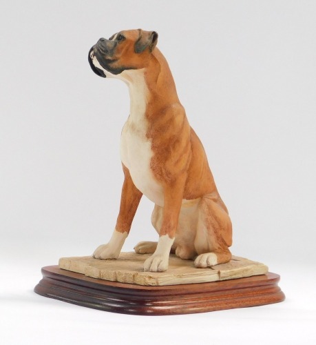 A Border Fine Arts Country Show boxer dog, No MT09, on a wooden base, 26cm high.
