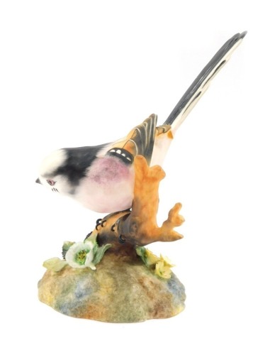 A Royal Crown Derby long tailed wagtail, matt, 14cm high, boxed.