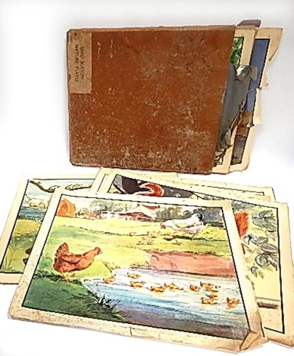 A group of Enid Blyton Nature plates, incomplete. (AF)