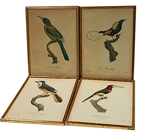 A set of four 19thC bird book plate pictures, comprising L'aracri Alara, Legeai Orange, Le Grand Jacamar, and Le Magnifique, 39cm x 28cm, in gilt frames. (4)