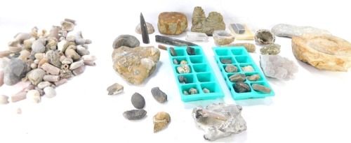 A mahogany travel trunk, and contents of fossils, to include ammonites and others, the trunk 26cm high, 42cm wide, 29cm deep.