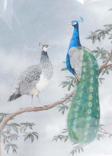 M Cargill (20thC School). Peacocks on branch, watercolour, signed and dated '89, 53cm x 40cm, framed and glazed.