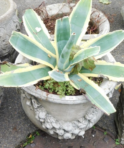 Two reconstituted stone back to back planters, each with fruits and flowers, arched finials, oval front and flat back for a wall, 42cm high, 46cm wide, 42cm deep.