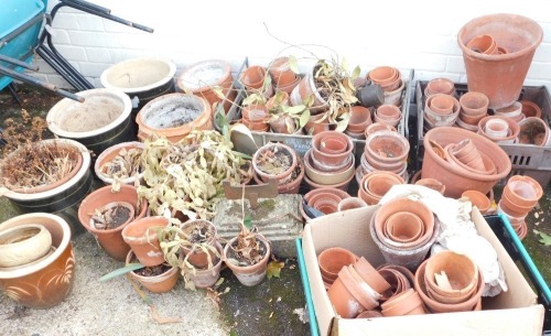 A large quantity of terracotta plant pots.